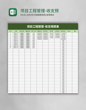 项目工程管理-收支预算表excel模板