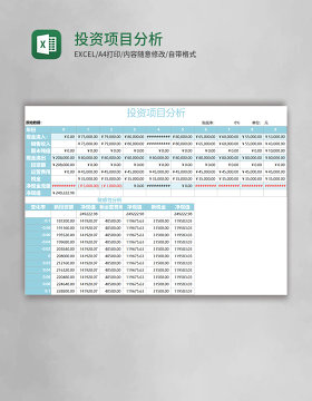 投资项目分析Execl表格