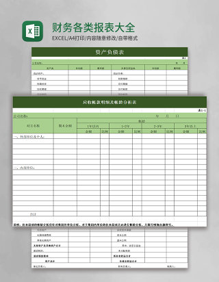 财务各类报表大全excel模板