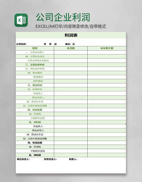 公司企业利润表格