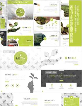 天然农作物绿色植物图片排版设计PPT模板Metea - Plant Powerpoint Template