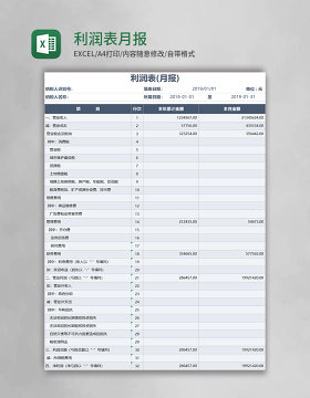 利润表月报Execl模板