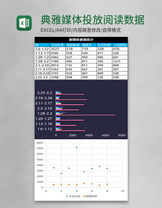 典雅媒体投放阅读数据excel表模板