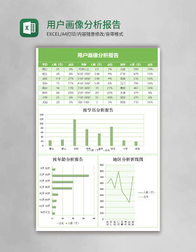 用户画像分析报告excel表格模板