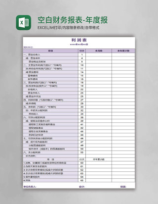 空白财务报表-年度报表Excel模板