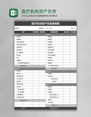 医疗机构资产负债表模板excel模板