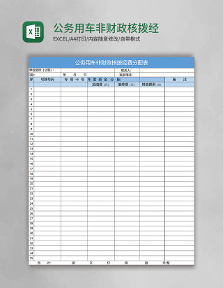 公务用车非财政核拨经费表excel表格