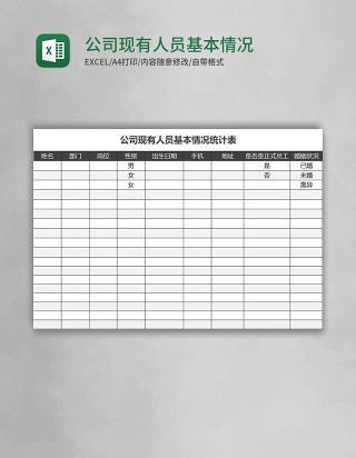 公司现有人员基本情况统计表excel模板