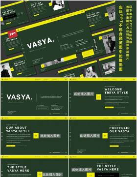 欧美个人简历工作报告通用PPT模板VASYA Powerpoint Template