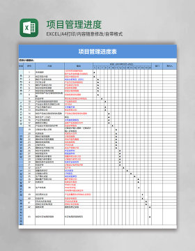 实用项目管理进度表excel模板