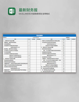 最新财务报表模板