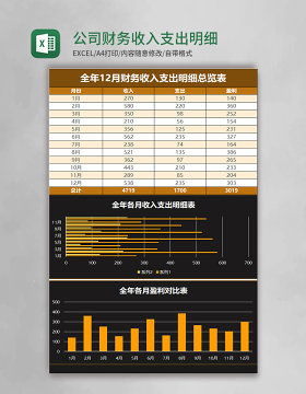 公司财务收入支出明细总览表excel模板