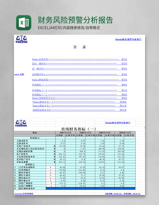 财务风险预警分析报告excel表