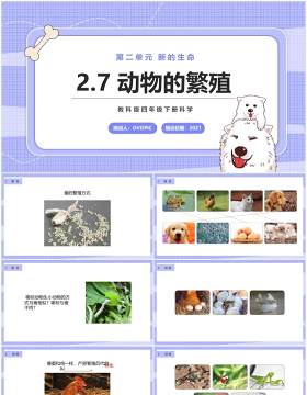 教科版四年级下册动物的繁殖课件PPT模板
