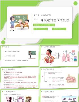 部编版七年级生物下册呼吸道对空气的处理课件PPT模板