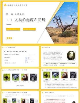 部编版七年级生物下册人类的起源与发展课件PPT模板