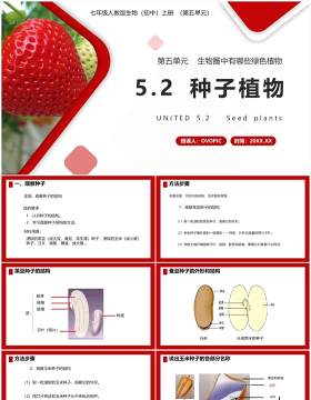 部编版七年级生物上册种子植物课件PPT模板