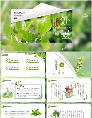 绿色小清新中国传统节日二十四节气处暑节日介绍PPT模板