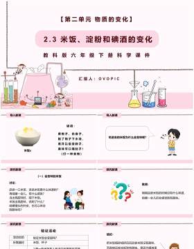 教科版六年级科学下册米饭、淀粉和碘酒的变化课件PPT模板