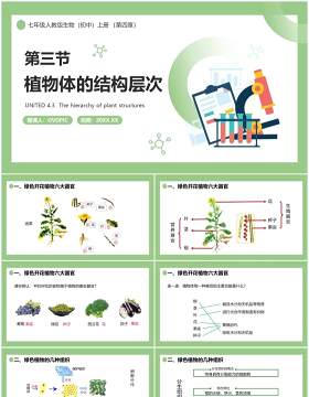 部编版七年级生物上册植物体的结构层次课件PPT模板