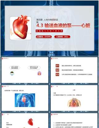 部编版七年级生物下册输送血液的泵——心脏课件PPT模板