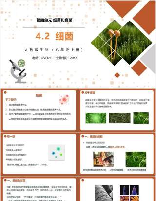 部编版八年级生物上册细菌PPT模板