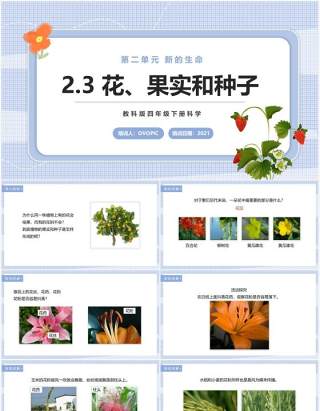 教科版四年级下册花、果实和种子课件PPT模板