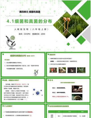 部编版八年级生物上册细菌和真菌的分布PPT模板