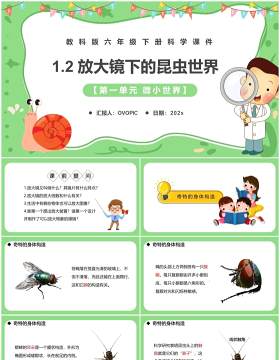 教科版六年级科学下册放大镜下的昆虫世界课件PPT模板