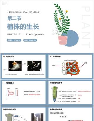 部编版七年级生物上册植株的生长课件PPT模板