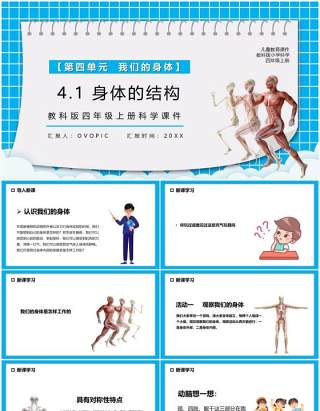 教科版四年级科学上册身体的结构课件PPT模板