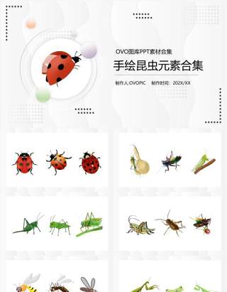 手绘昆虫元素PPT素材合集(1)