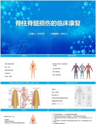 蓝色脊柱脊髓损伤的临床康复PPT模板