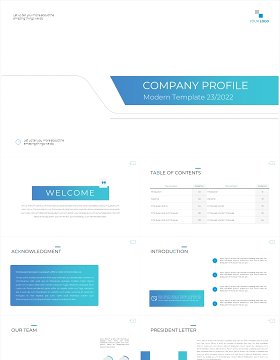 蓝色简约公司简介工作报告PPT模板（无图可插图）Company Profile