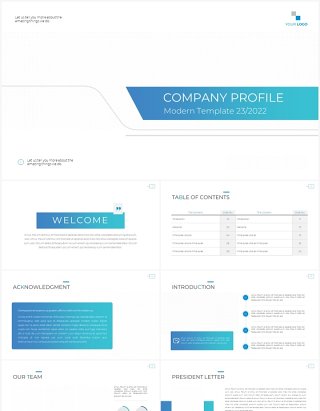 蓝色简约公司简介工作报告PPT模板（无图可插图）Company Profile