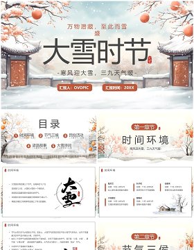 淡雅中国风二十四传统节气大雪PPT模板