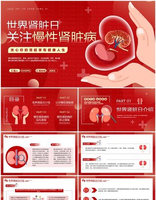 红色简约风世界肾脏日介绍PPT模板