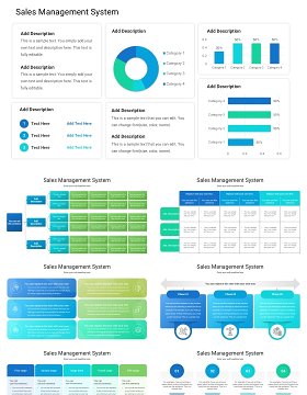 销售管理系统信息图PPT模板Sales Management System