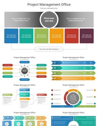 项目管理办公结构信息图PPT模板素材Project Management Office