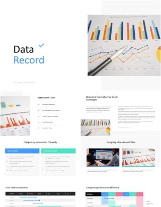 数据记录PPT信息图表展示Data Record