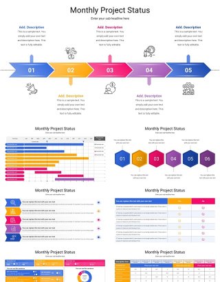 每月项目状态计划表格信息图PPT模板Monthly Project Status