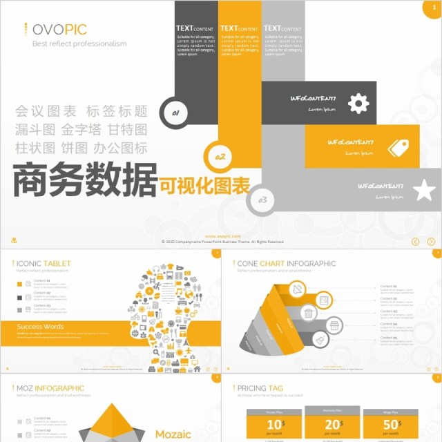 商务数据可视化PPT信息图表模板 商务数据可视化PPT信息图表模板