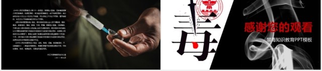 简约禁毒日知识教育宣传PPT模板 简约禁毒日知识教育宣传PPT模板