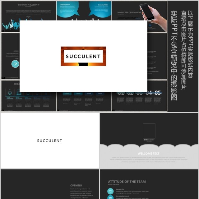 优质创意版式设计PPT工作模板SUCCULENT Powerpoint 优质创意版式设计PPT工作模板SUCCULENT Powerpoint