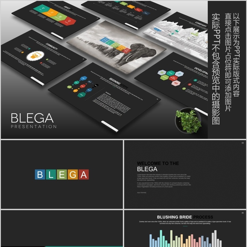 商务工作通用PPT信息图表可视化模板Blega Powerpoint 商务工作通用PPT信息图表可视化模板Blega Powerpoint