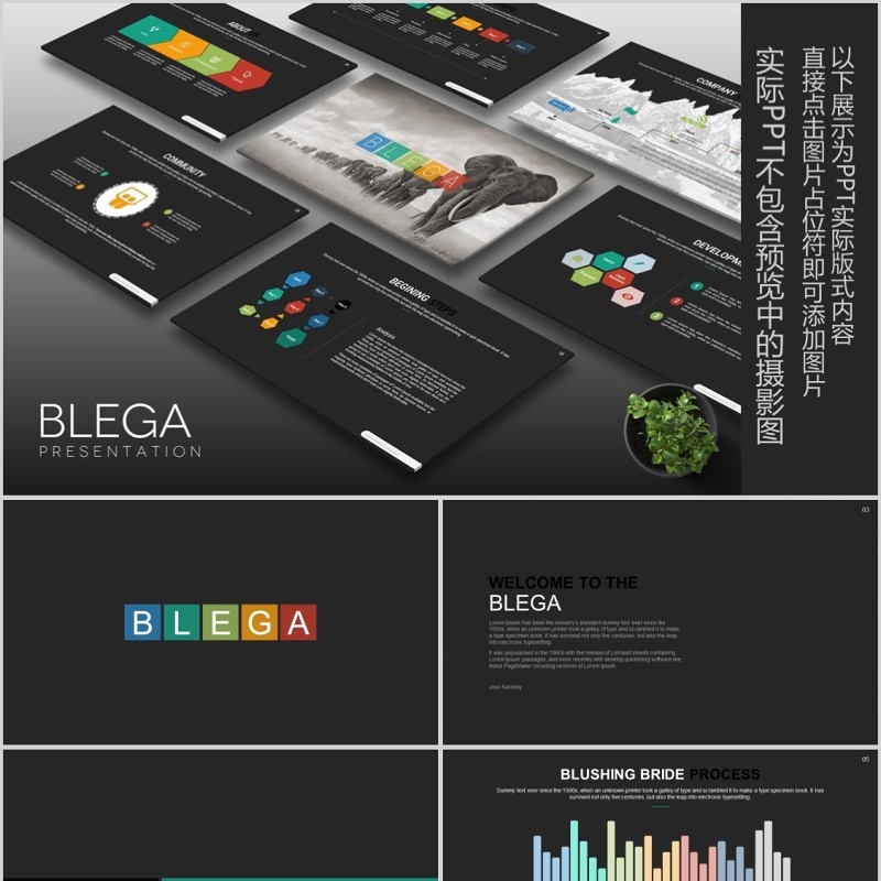 商务工作通用PPT信息图表可视化模板Blega Powerpoint
