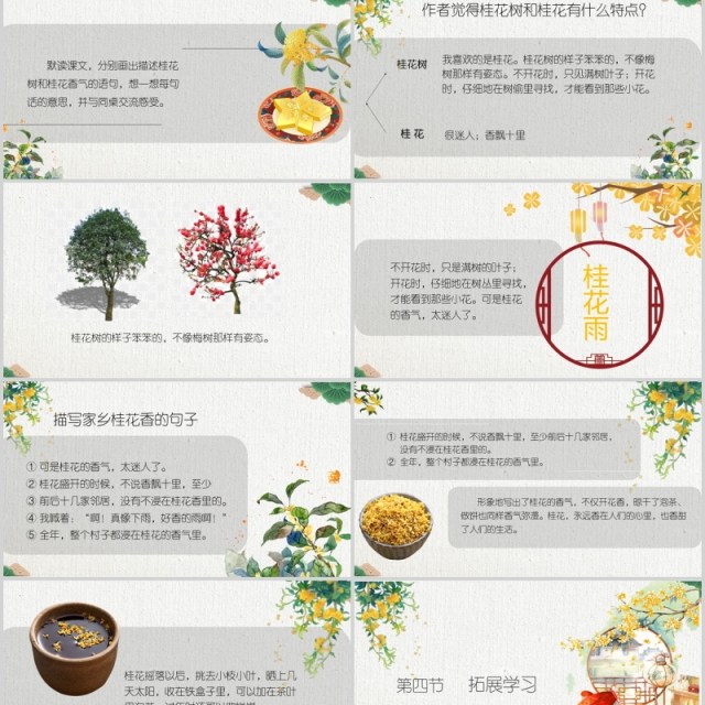 教师说课桂花雨PPT语文课件模板 教师说课桂花雨PPT语文课件模板