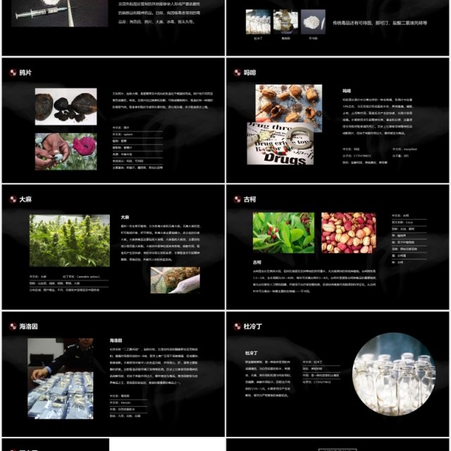 黑色禁毒教育宣传珍爱生命拒绝毒品PPT模板 黑色禁毒教育宣传珍爱生命拒绝毒品PPT模板