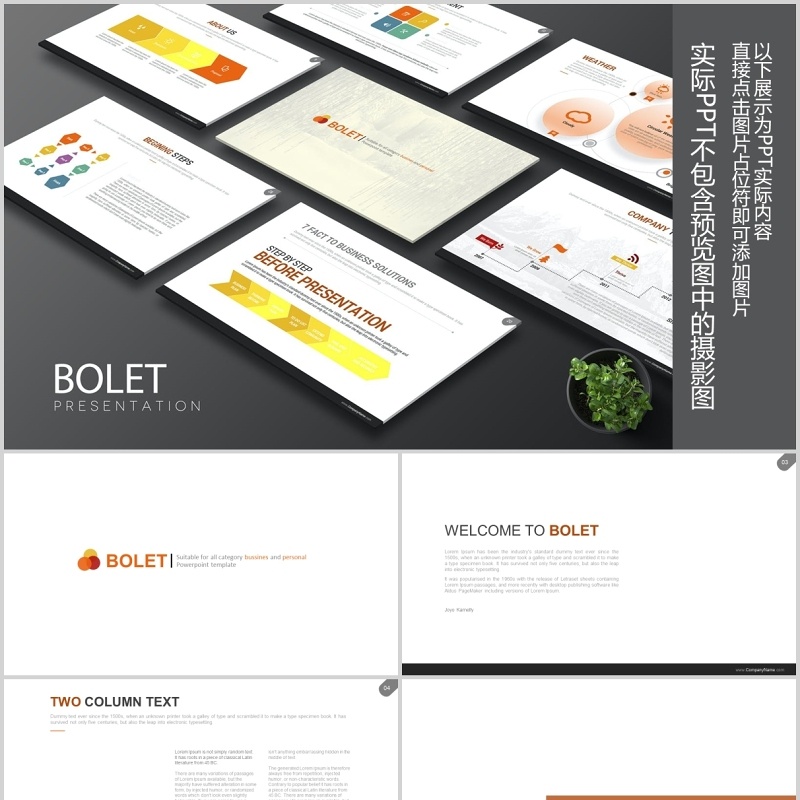 可视化信息图表流程图商务图片排版PPT模板素材Bolet Powerpoint