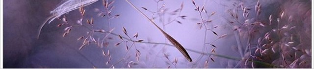 简洁双十一电商活动策划PPT模板 简洁双十一电商活动策划PPT模板